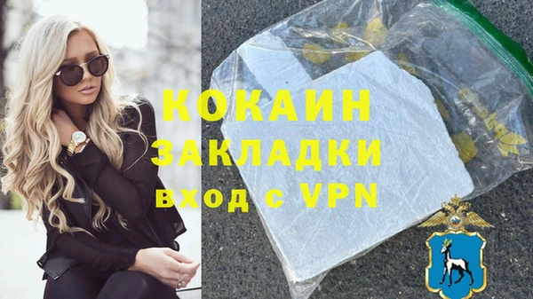 ПСИЛОЦИБИНОВЫЕ ГРИБЫ Верея