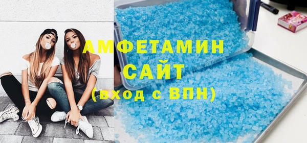 индика Володарск