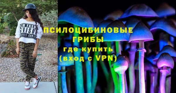 ПСИЛОЦИБИНОВЫЕ ГРИБЫ Верея
