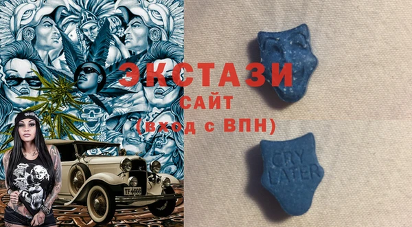 ПСИЛОЦИБИНОВЫЕ ГРИБЫ Верея