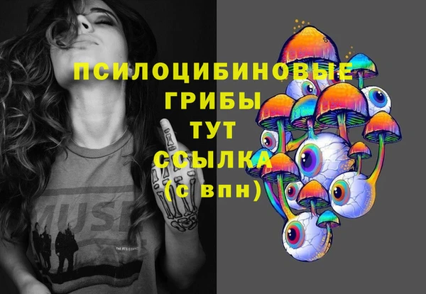 ПСИЛОЦИБИНОВЫЕ ГРИБЫ Верея