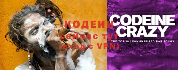 ПСИЛОЦИБИНОВЫЕ ГРИБЫ Верея