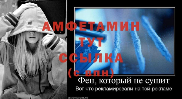 ПСИЛОЦИБИНОВЫЕ ГРИБЫ Верея