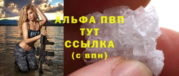 ПСИЛОЦИБИНОВЫЕ ГРИБЫ Верея