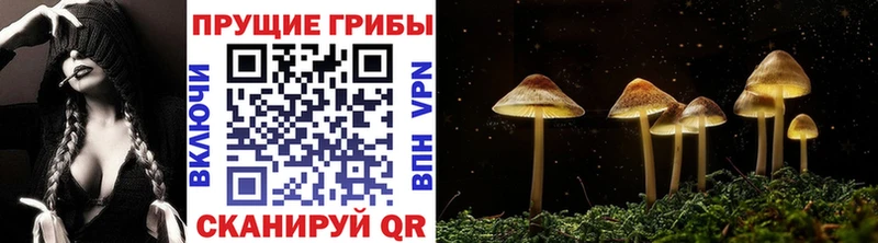 MEGA   Ипатово  Псилоцибиновые грибы GOLDEN TEACHER 