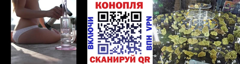 Канабис сатива  Ипатово 